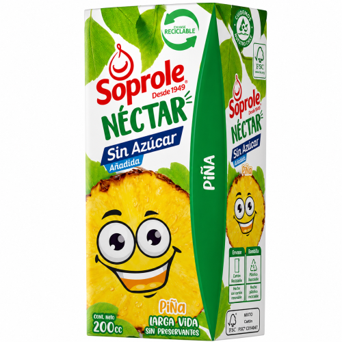 Néctar piña pack 6 unidades.
